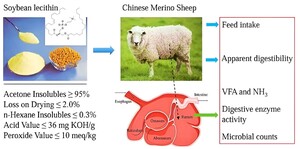 Figure from article: Effects of soybean lecithin...