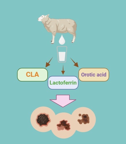 Figure from article: Bioactive compounds in...