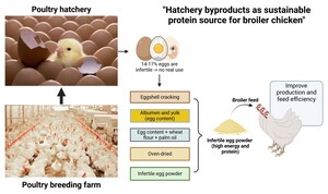 Figure from article: Effect of dietary inclusion...