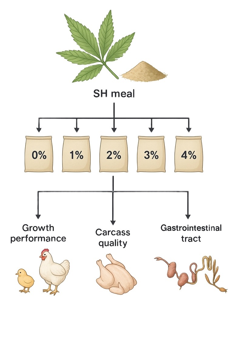 Figure from article: Effects of <i>Sida...