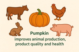 Figure from article: Pumpkin as a natural feed...