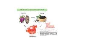 Figure from article: Effects of micelle herbal...