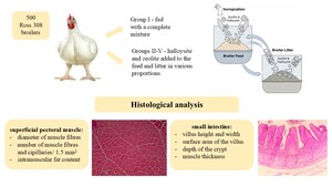 Figure from article: Effect of zeolite and...