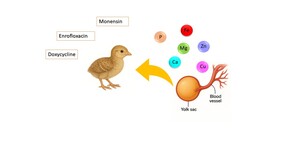 Figure from article: The effect of early...