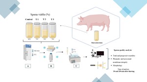 Figure from article: Effect of initial ejaculate...