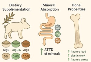 Figure from article: Effects of dietary brown...