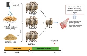 Figure from article: Feeding protected soybean...