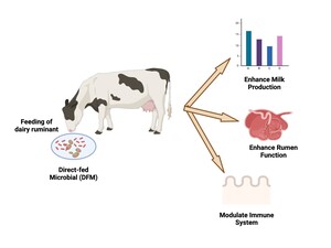 Figure from article: Effects of lactic acid...