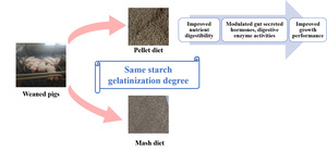 Figure from article: Feed form affects...