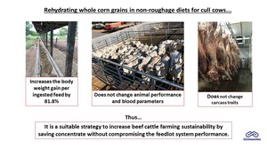Figure from article: Performance, feed...