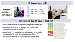 Figure from article: Lavender (<i>Lavandula...