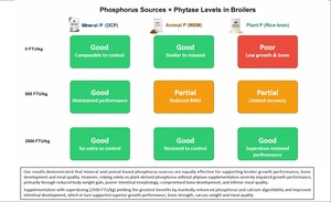 Figure from article: Effects of phosphorus...