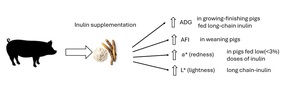 Figure from article: The effects of inulin...
