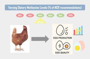 Figure from article: Effect of dietary...