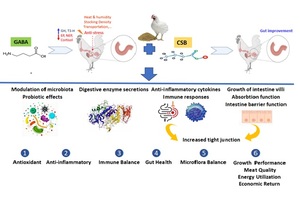 Figure from article: Effects of...