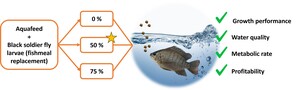 Figure from article: Black soldier fly larvae...