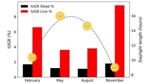 Figure from article: The number of piglets born...