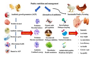 Figure from article: Alternative approaches to...