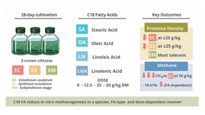 Figure from article: Effects of C18 long-chain...