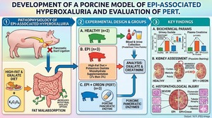 Figure from article: Kidney stone formation in...