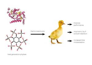 Figure from article: Effects of two levels of...
