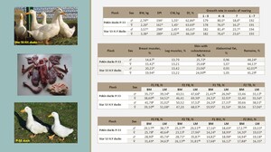 Figure from article: Comparative studies on...