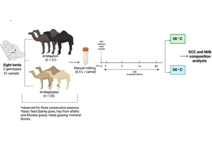 Figure from article: Toward camel...