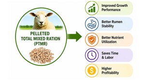 Figure from article: Pelleted total mixed ration...
