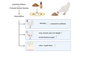 Figure from article: Dietary essential oil and...