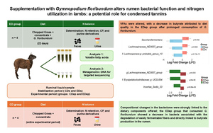 Figure from article: Supplementation with...