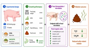 Figure from article: Effects of dietary...